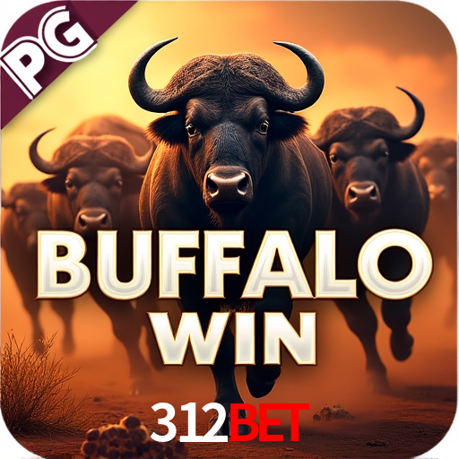 Tennis Betting 312Bet